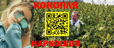 твердый Новозыбков