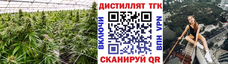 ТГК вейп с тгк  цена   Тихорецк 