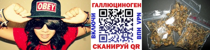 OMG сайт  Тихорецк  Галлюциногенные грибы мицелий  даркнет сайт 