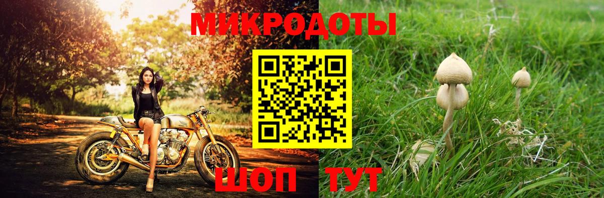 Галлюциногенные грибы мухоморы Тихорецк