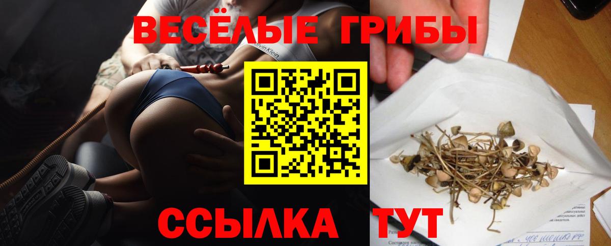Тихорецк  Галлюциногенные грибы ЛСД  купить  сайты  Вход с VPN 